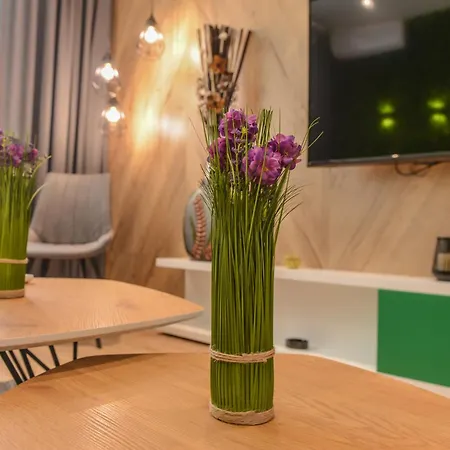 Luxe Dream Apt, 2-bdr, 2-bthr Apartment